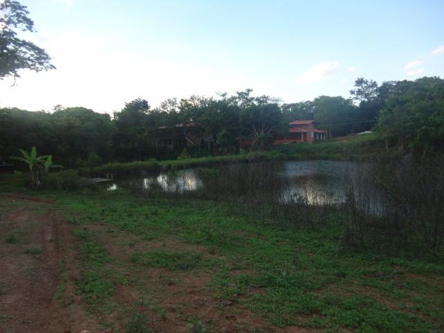 Sítio - Foto 6
