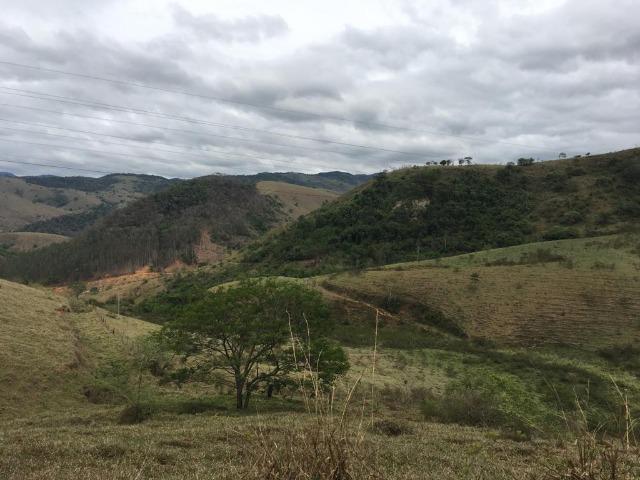 Venda-se está fazenda de 250 alqueires no Município de Fervedouro/MG - Foto 7