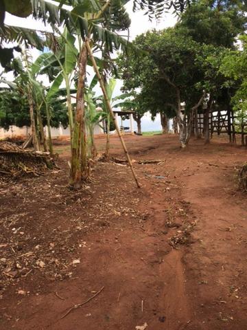 Fazenda-Granja-Sítio com 21 Hectares em Aliança - Foto 16