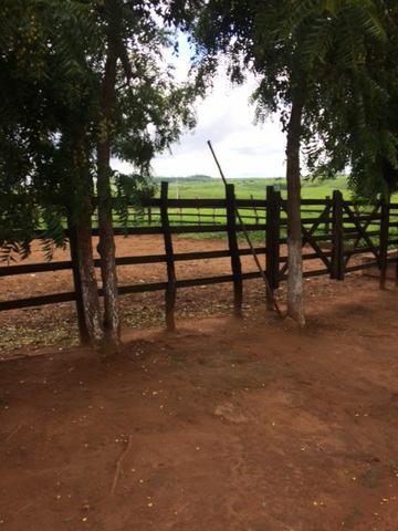 Fazenda-Granja-Sítio com 21 Hectares em Aliança - Foto 4