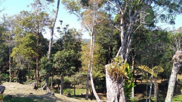 Chácara no campestre da faxina, são josé dos pinhais. - Foto 10