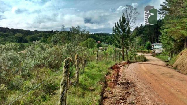 Chácara no curralinho em são josé dos pinhais. - Foto 6