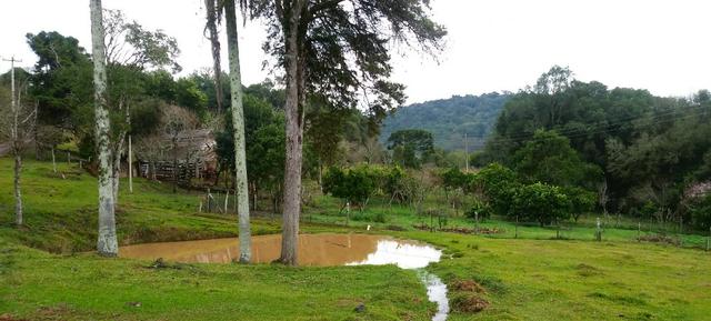 Chácara 3,0 Ha Campestre da Serra - Foto 6