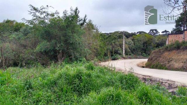Chácara no campo largo da roseira, são josé dos pinhais. - Foto 6