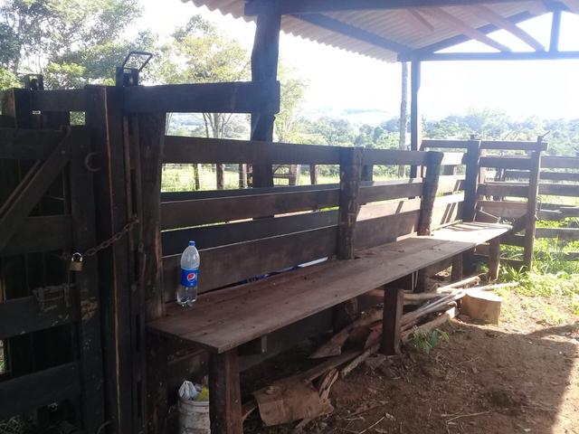 Chacara de 3 alqueires em bela vista 52 km de goiania - Foto 2