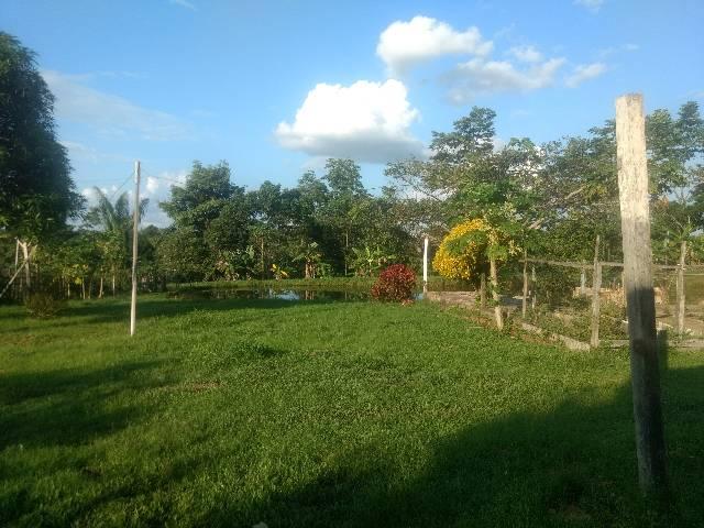 Troco ou vendo chácara - Foto 20