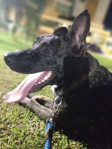 Doação