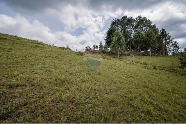 TERRENO NO SALTO DE SAO FRANCISCO DE PAULA - Foto 6