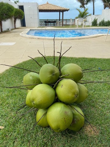 Aluguel por temporada de casa com 08 suítes à beira mar de Enseada dos Corais - Foto 7