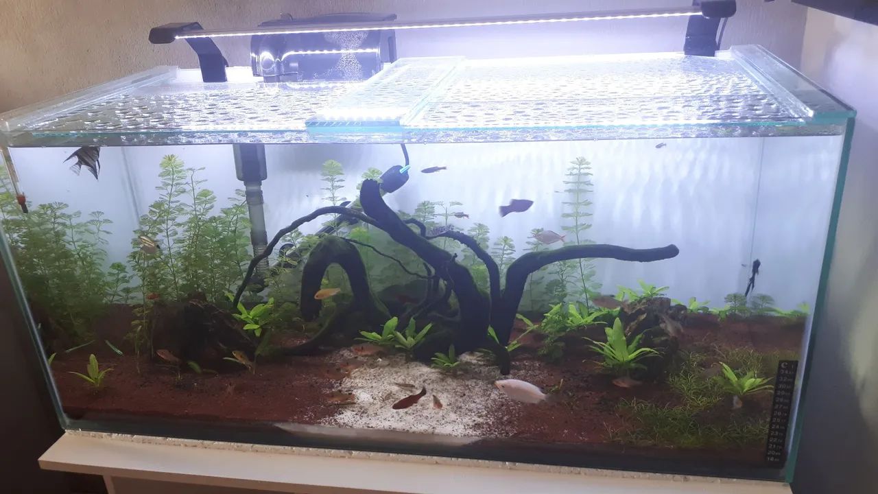 Aquário 150 litros Completo com Móvel e Iluminação. - Foto 5