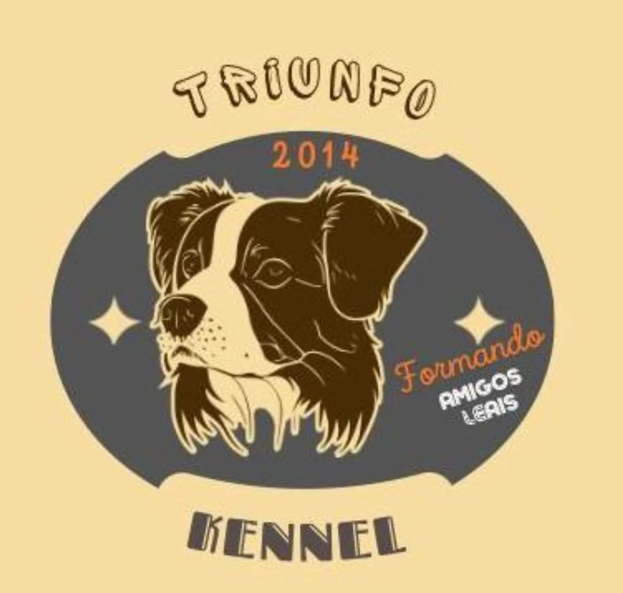 Filhotes de Border Collie -Envio para todo Brasil Triunfo Kennel