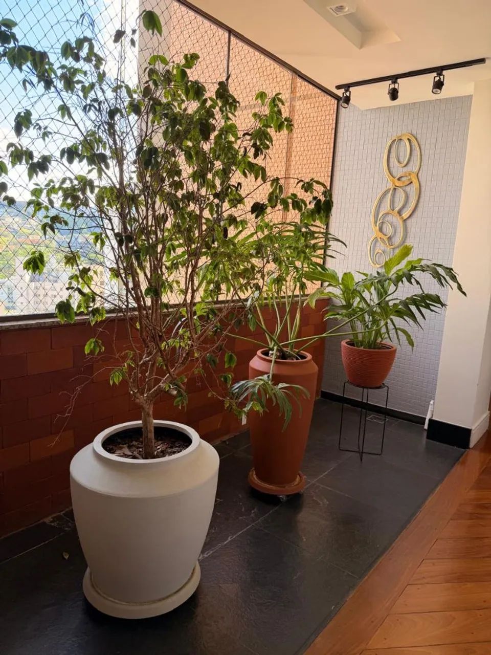 Vasos com plantas(jabuticabeira/lirio da paz/guaimbé) - Foto 2