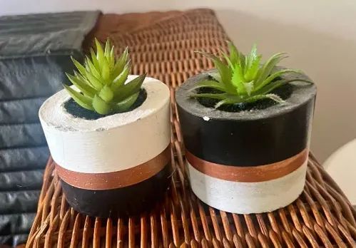 2 jogos de plantas (4 no total) - Foto 2
