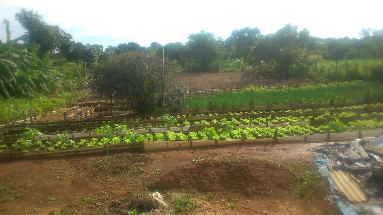 Excelente lote área urbana  Pé.Bernado  
