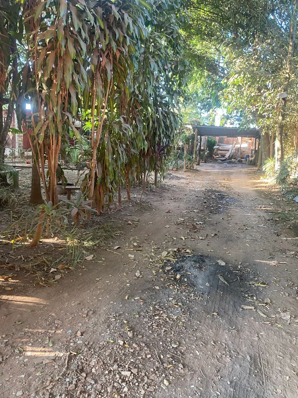 Foto - Brasília - Riacho Fundo I