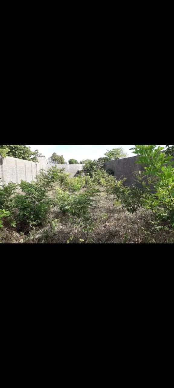 Limpeza de terreno  - Foto 5