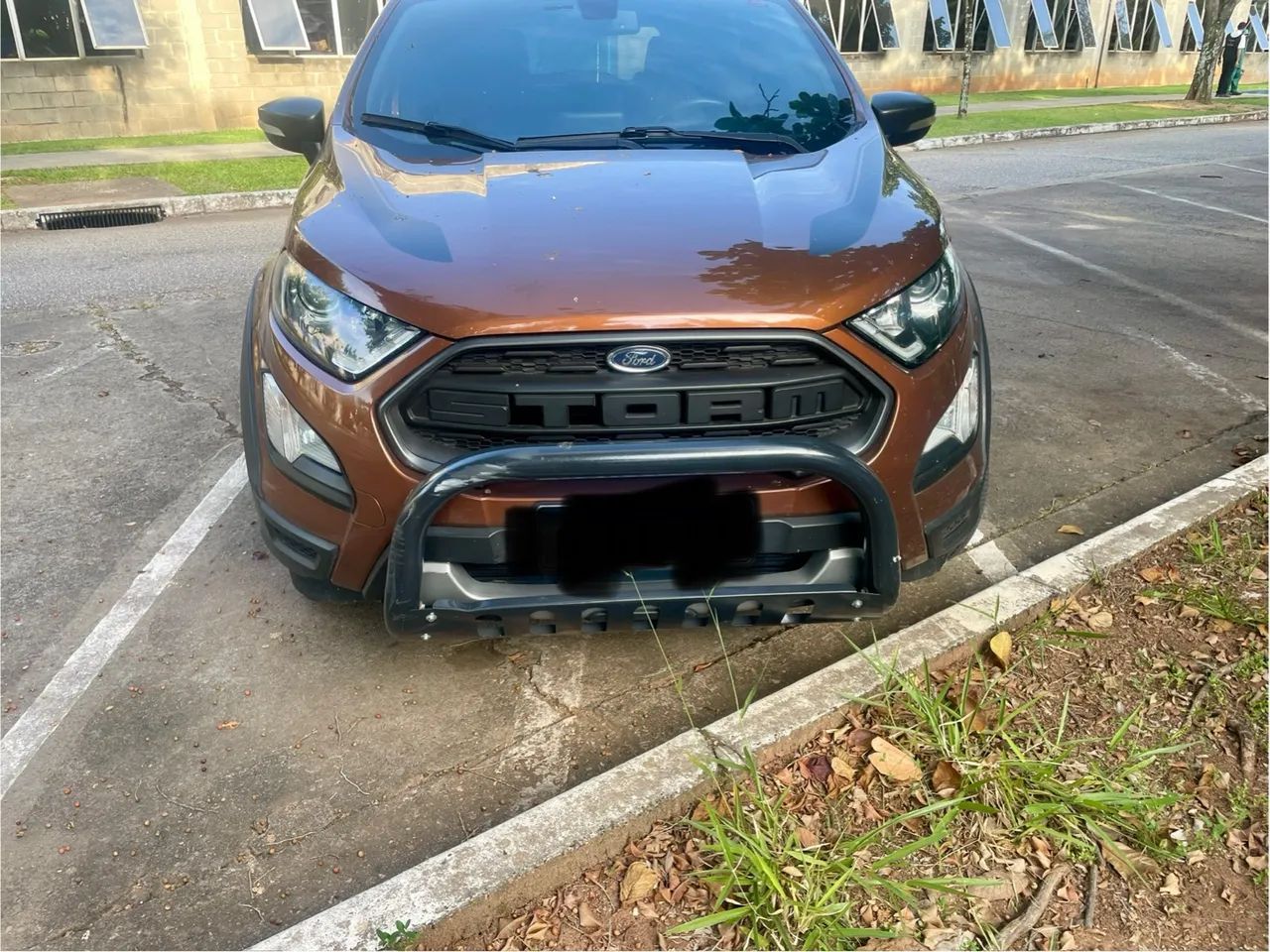 Quebra mato Ecosport storm
