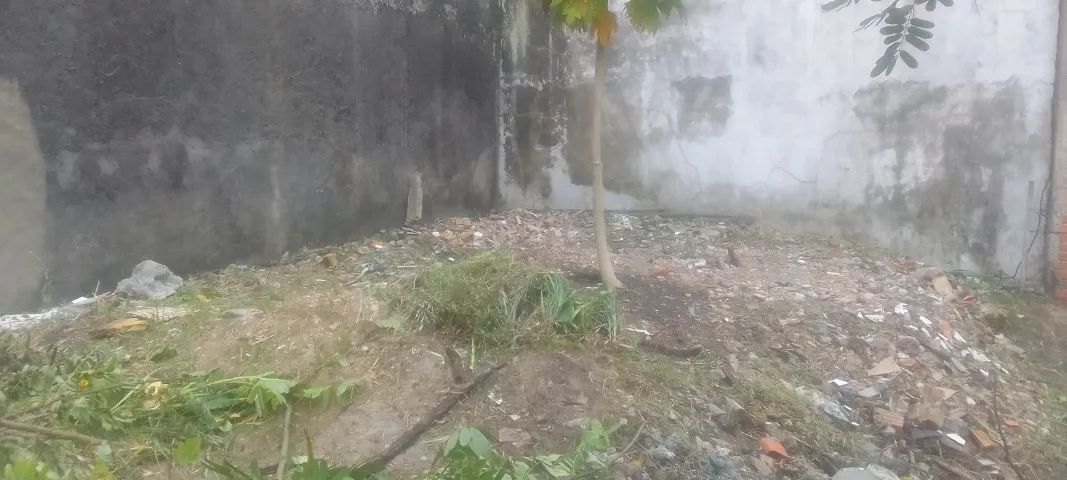 Foto - Belém - Castanheira