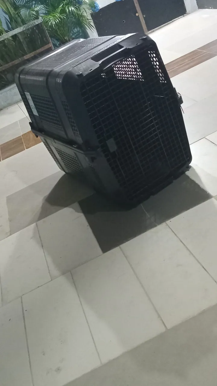 Transporte para Cães - Resistente e Seguro