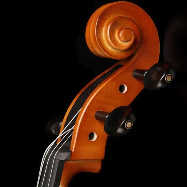 Violoncelo Eagle CE300 NOVO - Foto 3