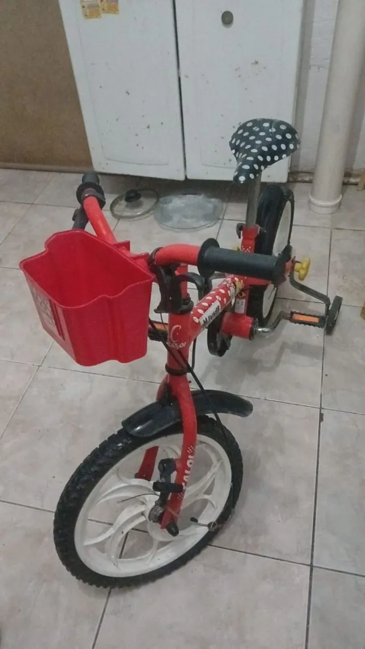 Bicicleta 