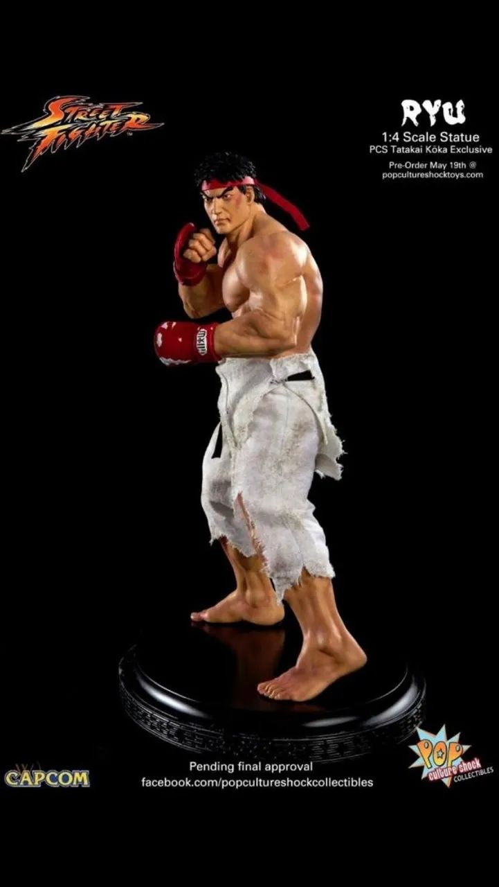 Ryu Battle Damaged PCS Street Fighter - Foto 3