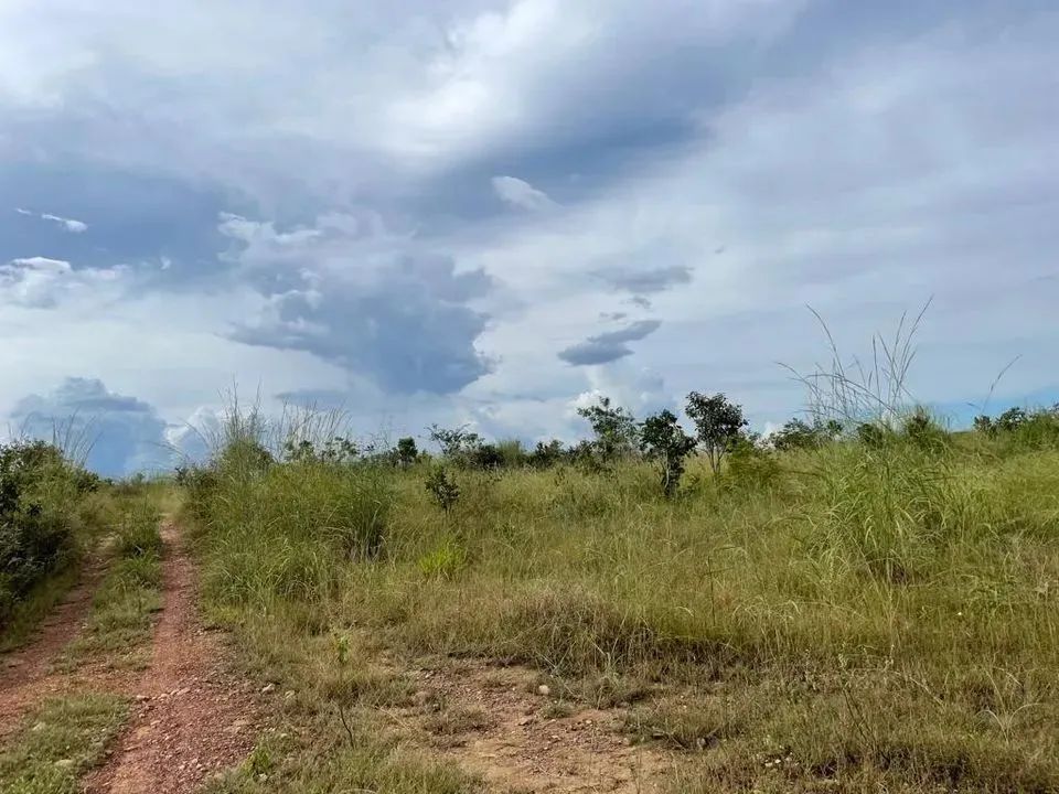Fazenda para Venda em Santa Maria do Tocantins, Santa Maria do Tocantins - Foto 3