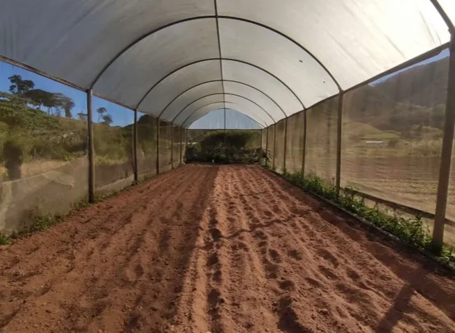 Estufa agrícola