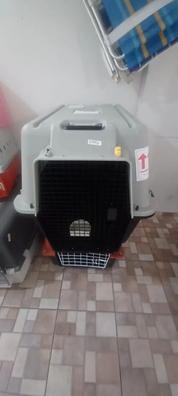 Caixa de Transporte - Foto 3