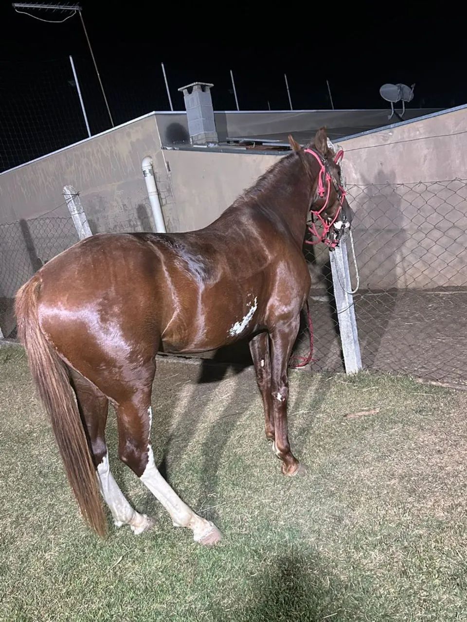 Vendo ou troco manga larga toppp  - Foto 4