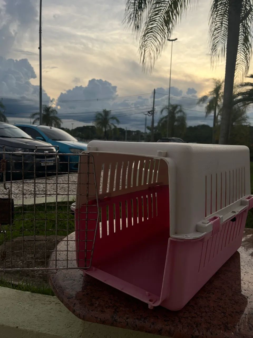 Vendo Casa de Transporte de Animais  - Foto 4