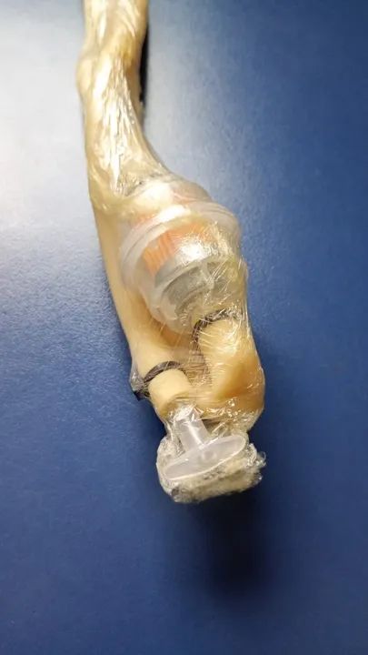 Capturador Entomológico para insetos  - Foto 3