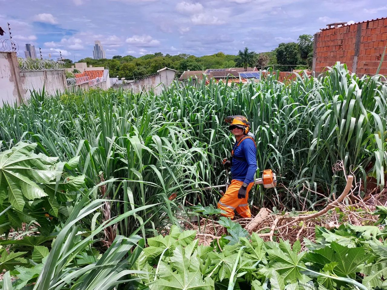 Roçada de terrenos/ Roçador