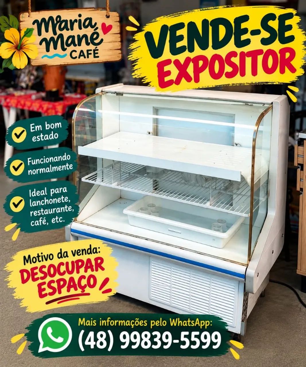Vendo espositora 