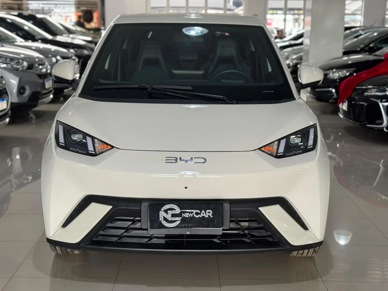 BYD Dolphin Mini (Elétrico) 2026 - Foto 2