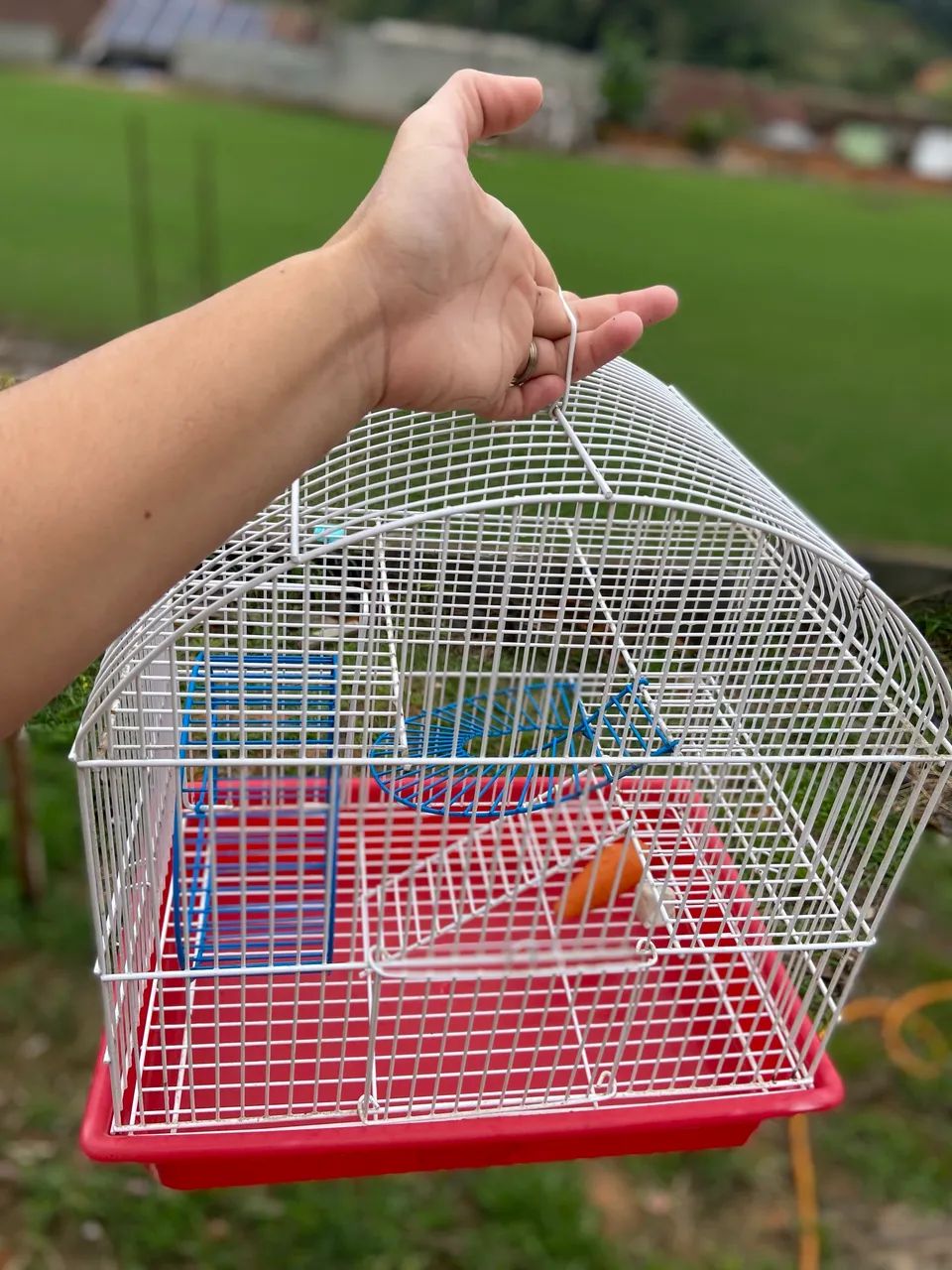 Gaiola e bola transparente Hamster - Foto 4