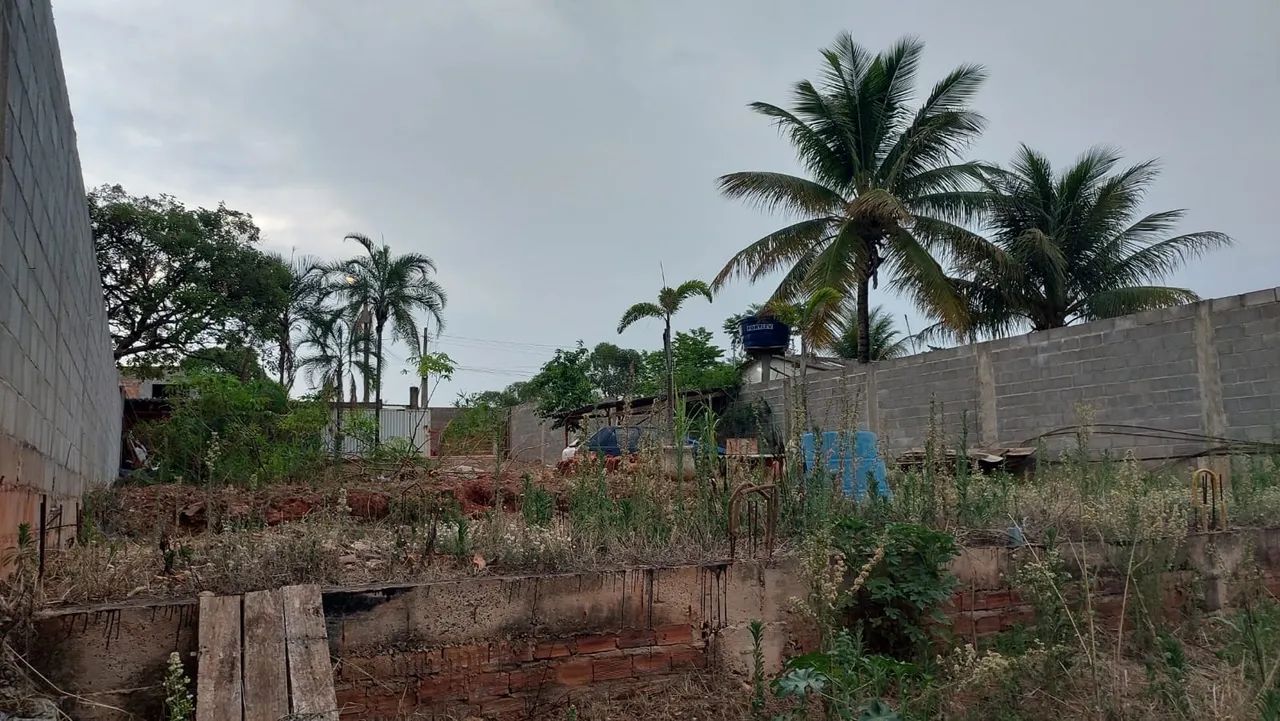 Foto - Brasília - St H Jardim Botânico