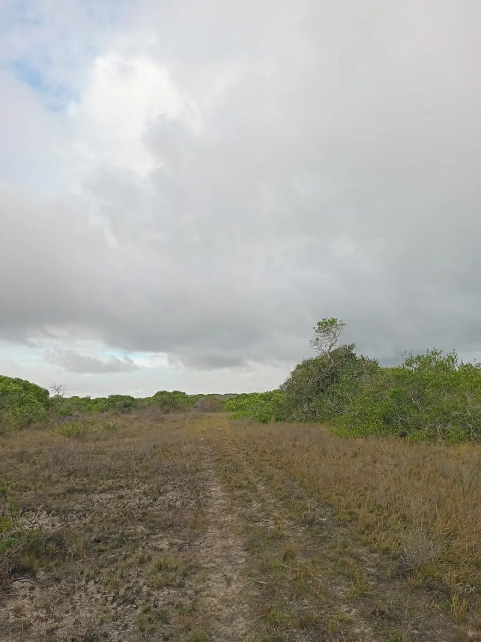 Terreno em Santo Amato do Maranhão - Foto 2