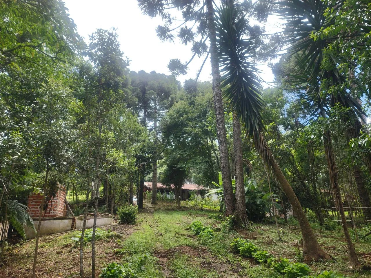 Vende-se ou troca-se - Foto 3