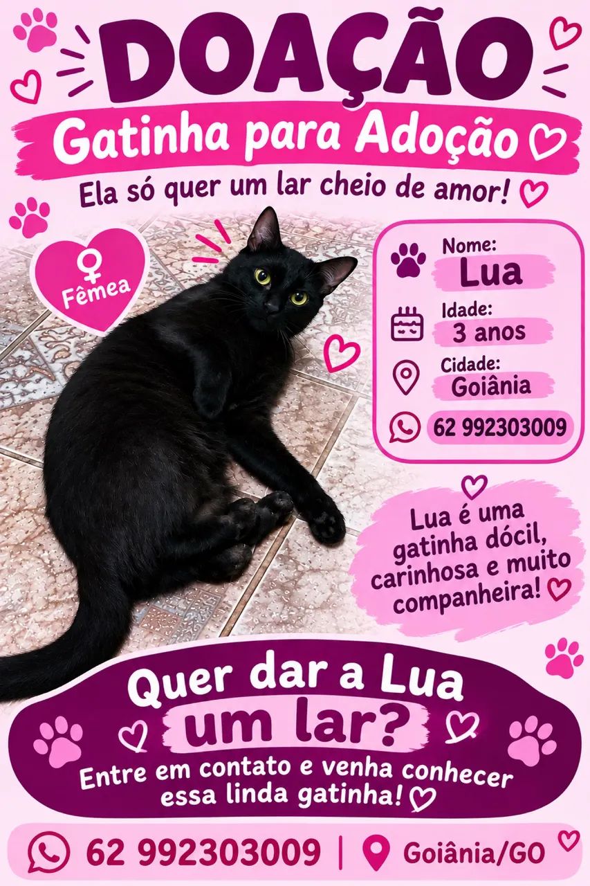 Doação 