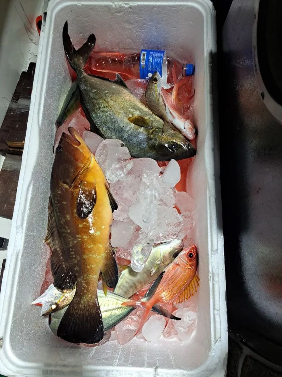 Pesca no mar Florianópolis  - Foto 4