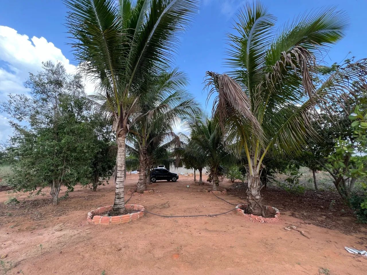 Vendo chácara próximo a Eletronorte * - Foto 2