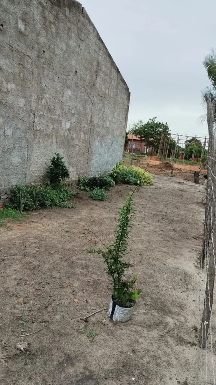 Lote Guarujá 3, Pirâmide - Foto 2