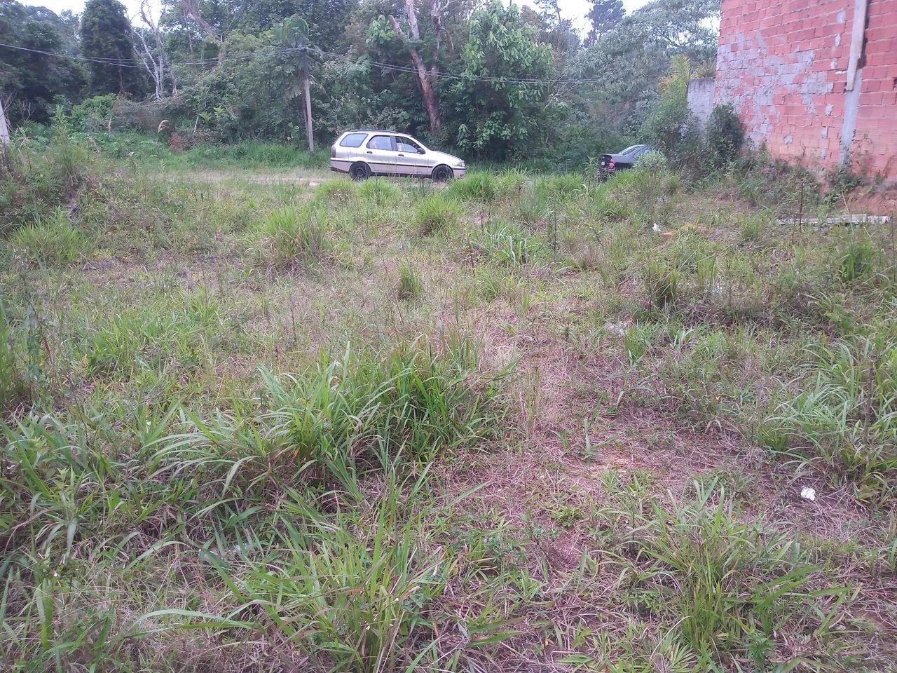 Terreno amplo - Foto 5