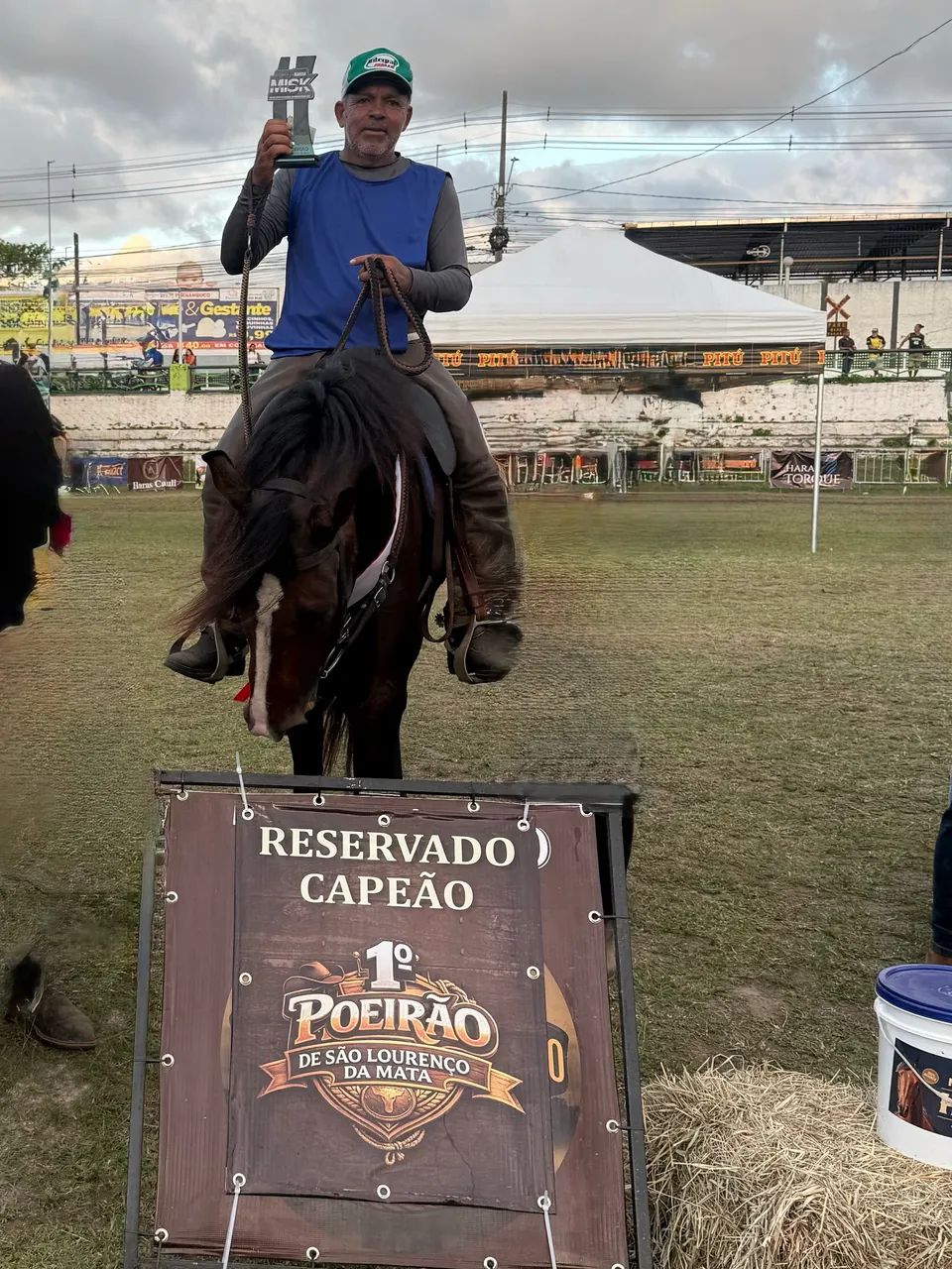 Cavalo 