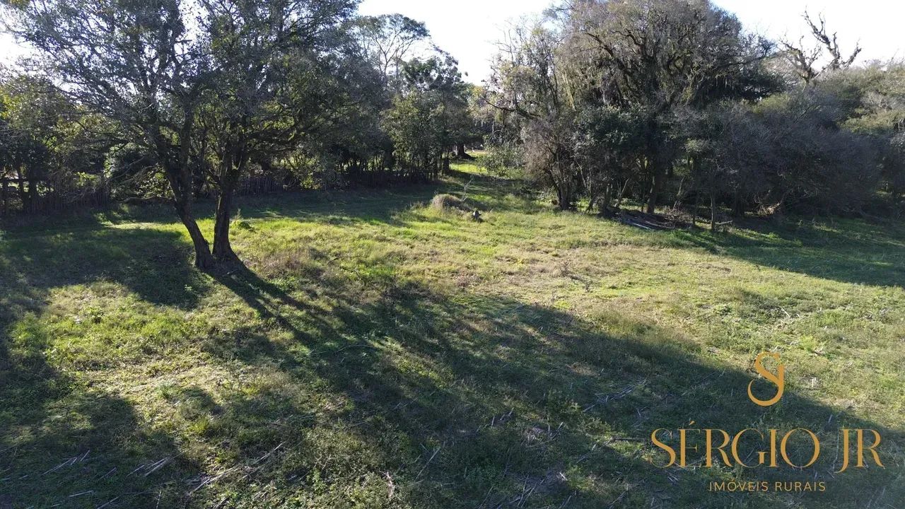 Sítio com 8,2h, belíssima casa com 300m², quiosque em Triunfo - Foto 11