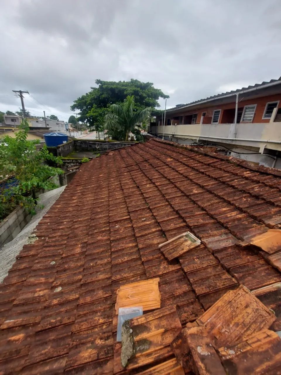 Telhas Francesas Antigas (Tambaú) - Lote 275 un - Foto 4