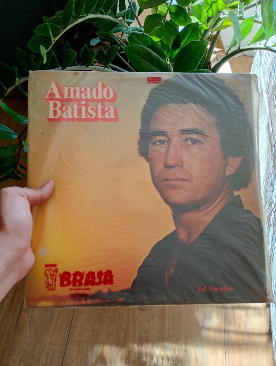 Lote de vinil - Sertanejo e Brega - 15 unidades (Tonico e Tinoco, Amado Batista ...) - Foto 3