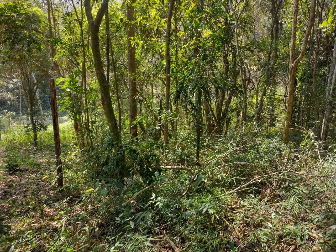 Vende-se terenos no condomínio 7 praias  - Foto 7