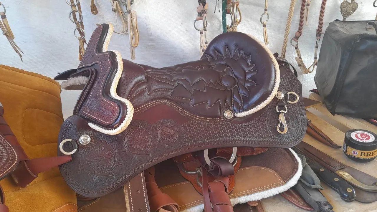 Arreio de cabeça. Usado em bom estado completo  - Foto 2